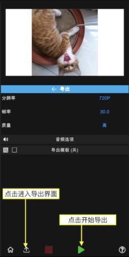 NodeVideo免费版_https://m.itzol.com_摄影图像_第5张