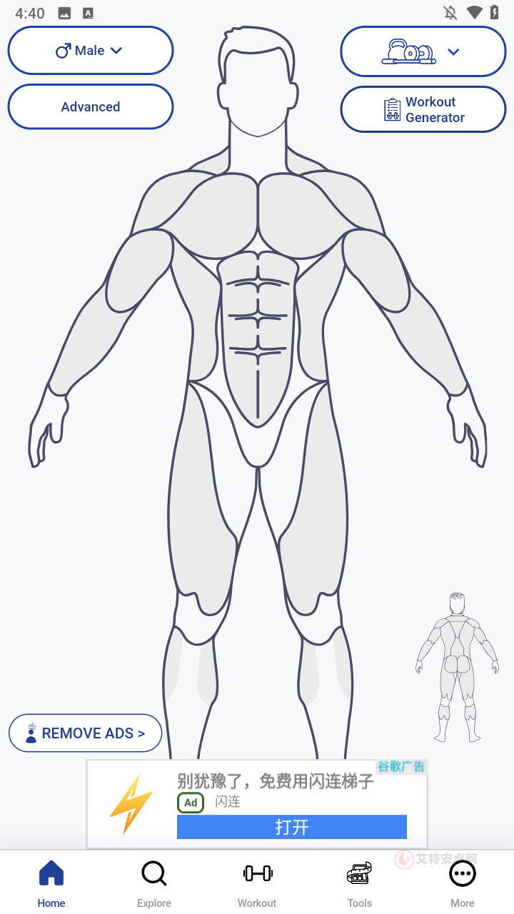 MuscleWiki官方版_https://m.itzol.com_生活服务_第1张
